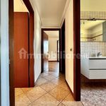 Affitto 3 camera appartamento di 100 m² in Montechiarugolo