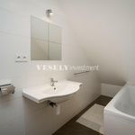 Rent 1 bedroom apartment of 98 m² in Praha