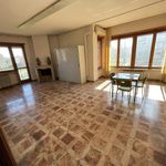 Affitto 4 camera appartamento di 200 m² in Torino
