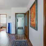 Rent 2 bedroom apartment of 58 m² in Aachen