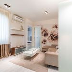 2 bedroom house of 42 m² in Madrid