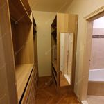 Rent 3 bedroom apartment of 106 m² in Budapest