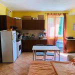 Rent 1 bedroom apartment of 30 m² in Medolla