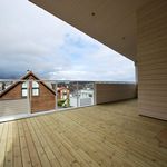 Lei 5 soverom hus på 220 m² i Stavanger