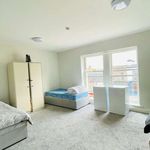 Rent 14 bedroom apartment in Dublin