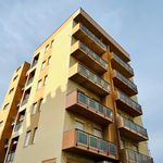 Rent 1 bedroom apartment of 35 m² in Montemarciano