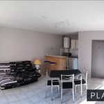 Rent 1 bedroom apartment of 29 m² in NANCY
