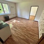 Pronajměte si 1 ložnic/e byt o rozloze 37 m² v Horní Slavkov