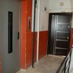 Rent 3 bedroom apartment of 130 m² in Sinan