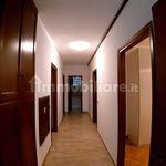 Rent 4 bedroom apartment of 135 m² in Modena