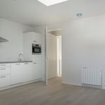 Rent 1 bedroom house of 49 m² in Sneek
