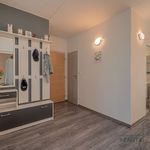 Rent 3 bedroom apartment of 73 m² in Břeclav