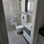 Rent 1 bedroom apartment of 49 m² in Primorsko-goranska