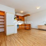 Rent 1 bedroom apartment of 53 m² in Praha