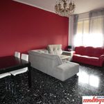 Rent 2 bedroom apartment of 84 m² in Bologna