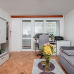 Rent 1 bedroom apartment of 28 m² in Pardubice