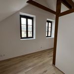 Rent 1 bedroom apartment of 63 m² in Šternberk