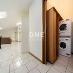 Rent 3 bedroom apartment of 90 m² in Monza