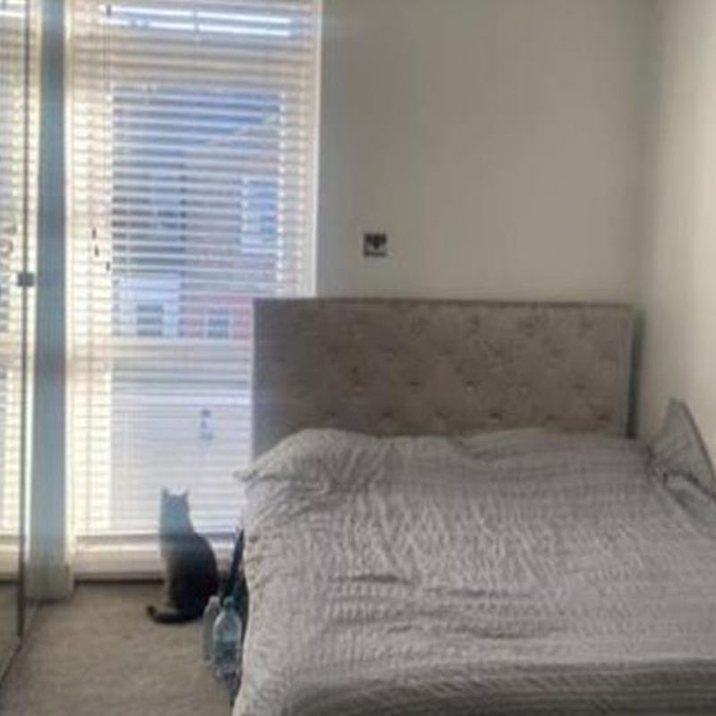 Double Room To Rent In Shared House The Avenue, Tottenhan N17. Female Only. All Bills Included