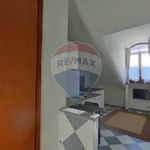 Rent 1 bedroom house of 19 m² in Torino