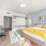 Rent 1 bedroom apartment of 34 m² in Heidelberg