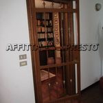 Rent 5 bedroom apartment of 180 m² in Forlì
