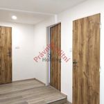 Rent 1 bedroom apartment of 90 m² in Pardubice