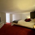 Rent 1 bedroom house of 35 m² in Lyon