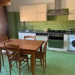 Rent 4 bedroom apartment of 160 m² in Anzio