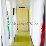 Rent 5 bedroom house of 160 m² in Fiumicino