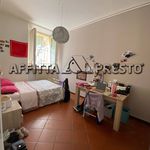 Rent 4 bedroom apartment of 90 m² in Forlì