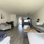Rent 3 bedroom house of 127 m² in Olst