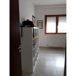 Affitto 2 camera appartamento di 100 m² in L'Aquila