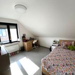Huur 2 slaapkamer appartement van 142 m² in Beringen