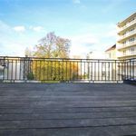 Rent 6 bedroom house of 150 m² in Etterbeek