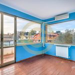 Rent 5 bedroom apartment of 312 m² in Cerveteri