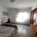 Rent 4 bedroom apartment in Palma