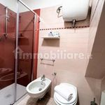 Rent 1 bedroom house of 50 m² in Siena