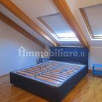 Rent 3 bedroom apartment of 92 m² in Torino