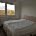Miete 3 Schlafzimmer wohnung von 60 m² in Halle (Saale)