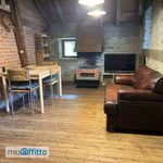 Rent 3 bedroom apartment of 100 m² in Campertogno