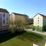 Rent 3 bedroom apartment of 59 m² in Limbach-Oberfrohna