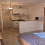  appartement avec 1 chambre(s) en location à Rodez