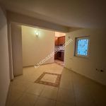 Rent 6 bedroom apartment of 330 m² in Antalya