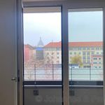Rent 2 bedroom apartment of 41 m² in Dresden