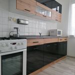 Rent 3 bedroom apartment of 81 m² in Nová Ves
