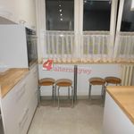 Rent 2 bedroom apartment of 38 m² in Tarnów