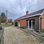 Rent 2 bedroom house in Tournai