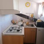 Rent 1 bedroom apartment of 25 m² in Velletri