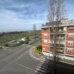 Rent 3 bedroom apartment of 101 m² in Roma